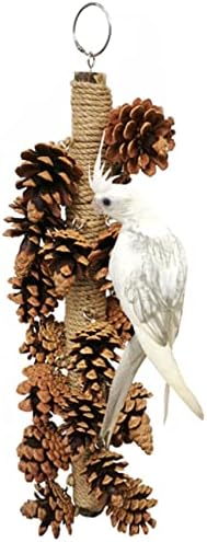 MJKSSH Ptice ugriza igračke papige prirodne borove konusa i igračke za hranjenje drvenim borovim konusom viseći papige za mljevenje