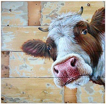 Skynbillion 5d DIY dijamantna slika po brojevima kompleta krava stočna seoska kuća rustikalno životinjsko platno slika križ ubod puni