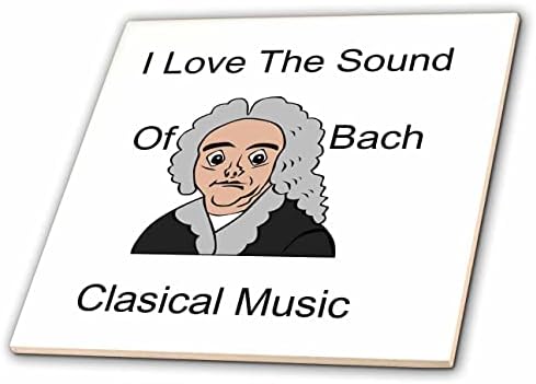 3Drose Slika ljubavi zvuka Bachove klasične glazbe s crtanim Bach - pločicama