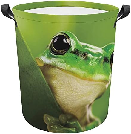 Foduoduo košarica za pranje rublja žaba rublja s ručicama s ručkama preklopljiva torba za odlaganje prljave odjeće za spavaću sobu,