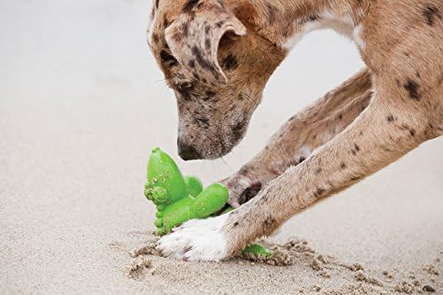 Vanjski gonič lateks zelena guma balona psa Squaky Dog igračka, xs